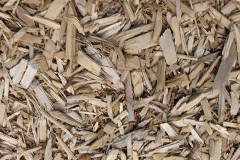 biomass boilers Penpedairheol